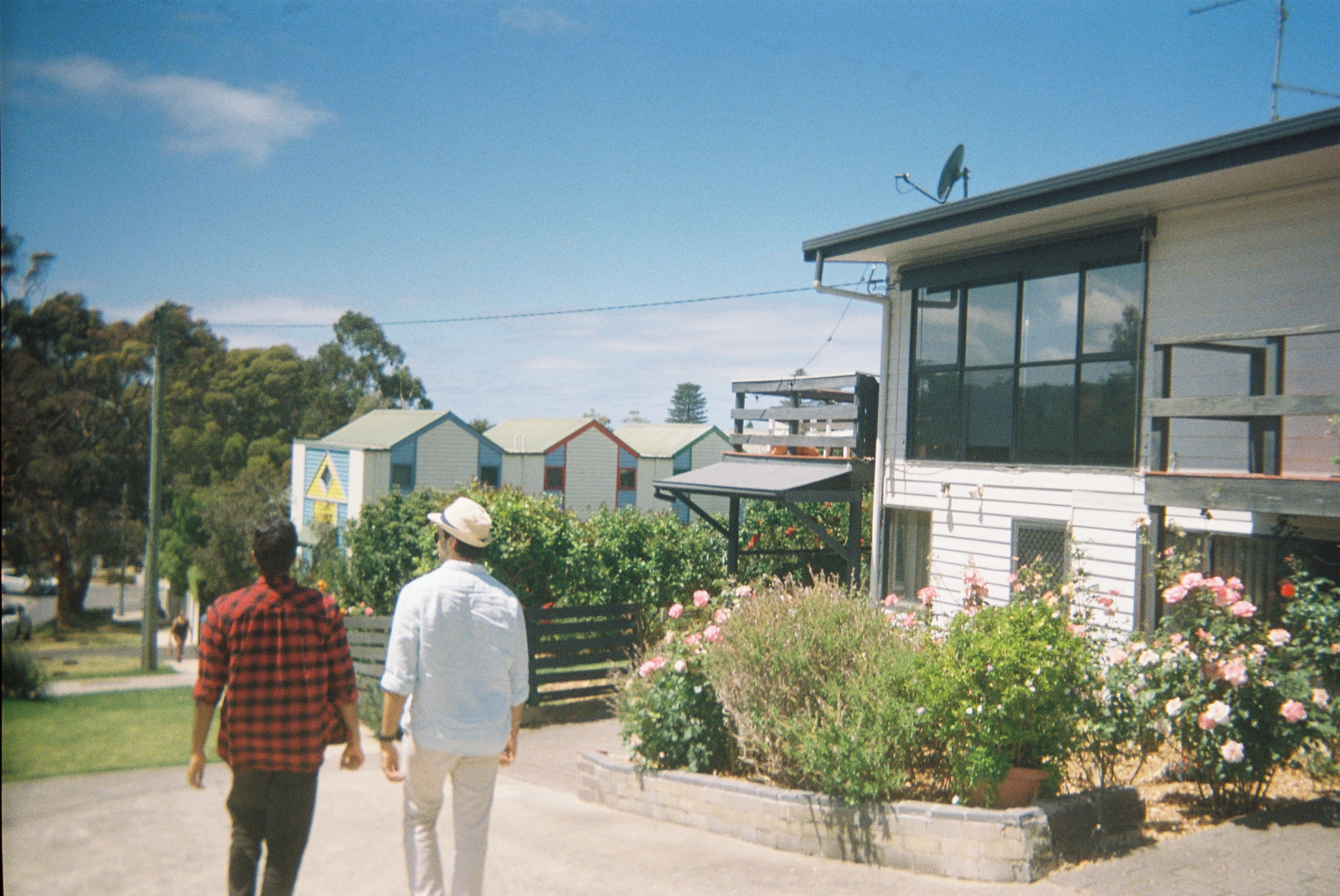 Beach houses on film