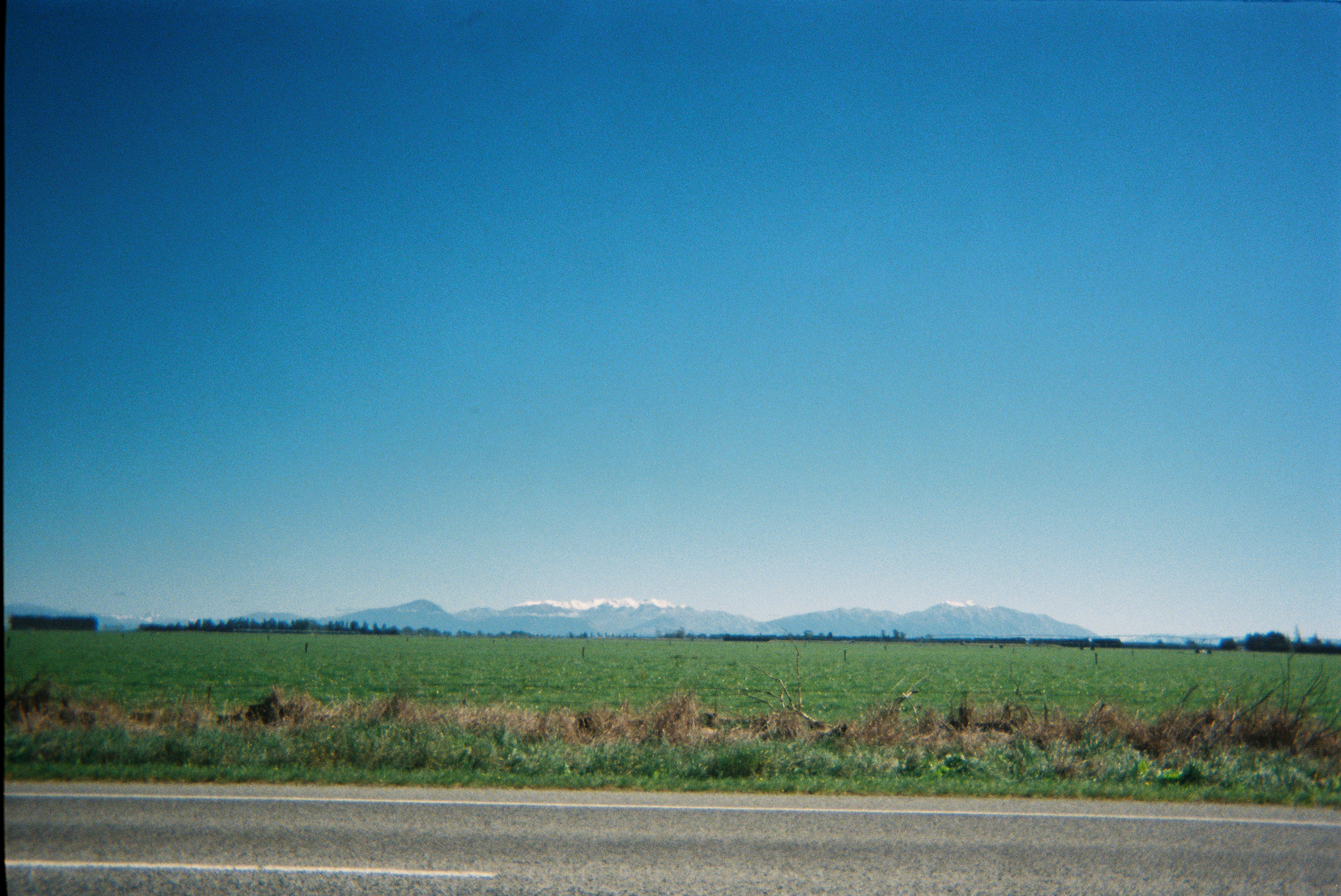 Canterbury Plains roadside