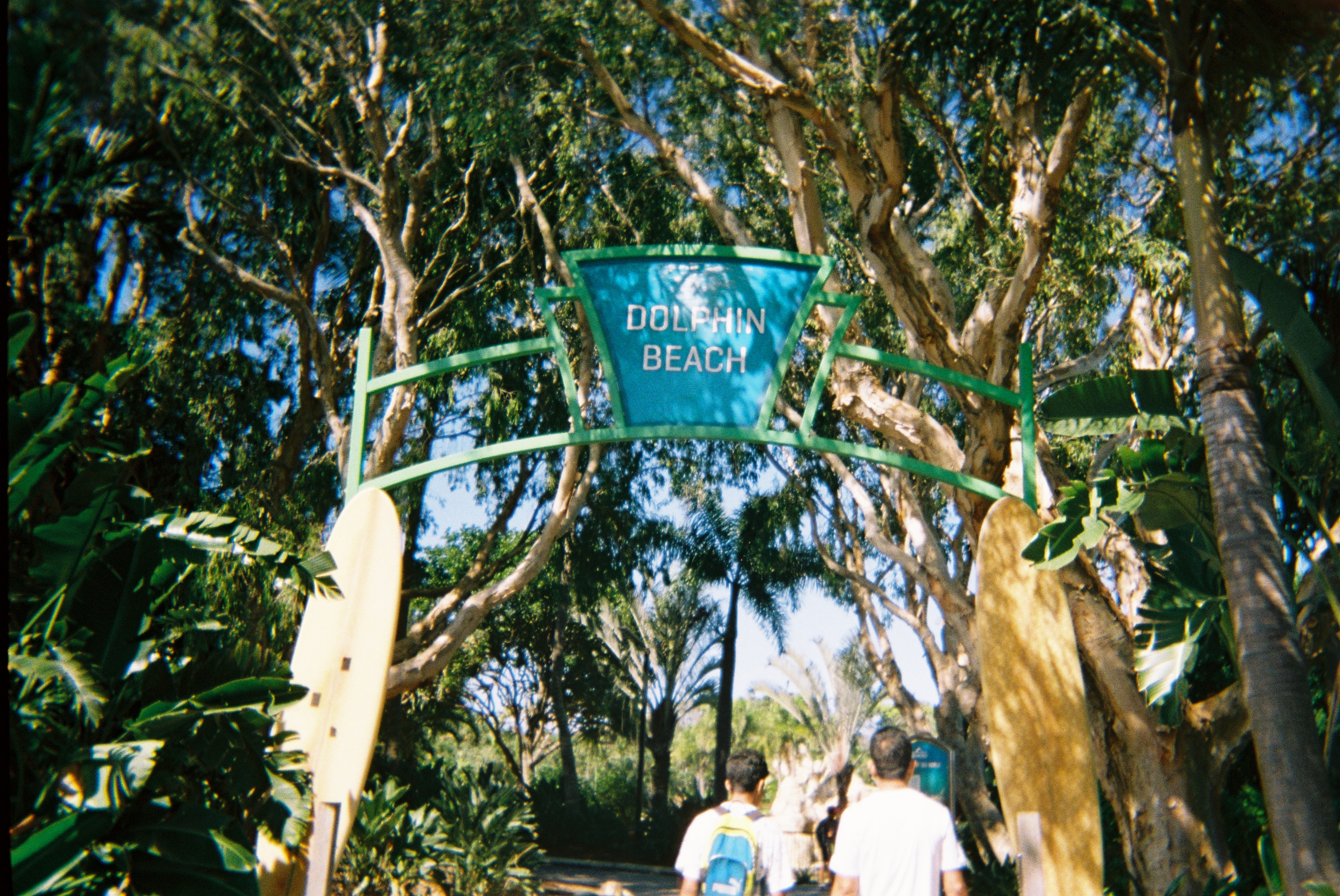 Dolphin Beach sign